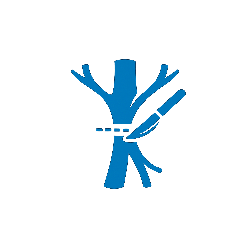 Angiochirurgas